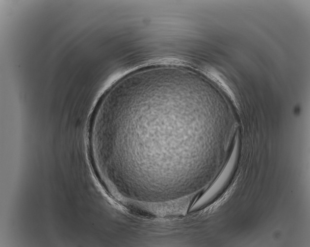 X0000095950989200801181418