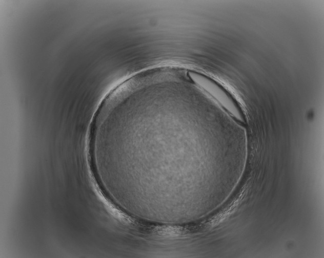 X0000095950991200801181418