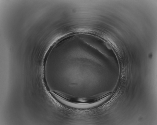 X0000095950992200801181418