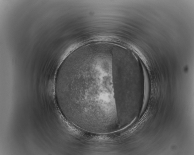 X0000095950994200801181418