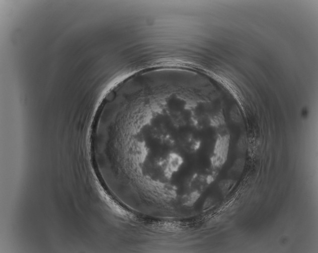 X0000095950995200801181418