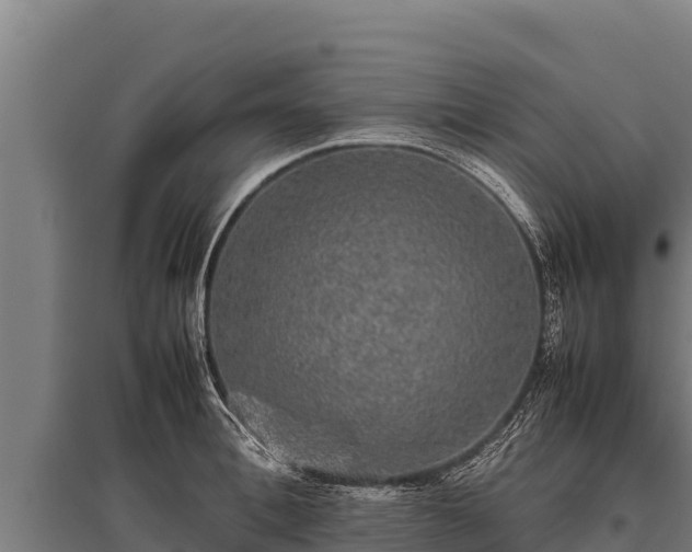 X0000095950996200801181418