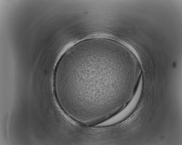 X0000095950997200801181418