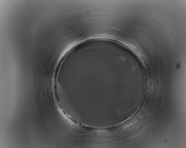 X0000095950998200801181418