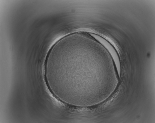 X0000095950999200801181418