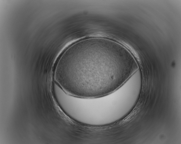 X0000095951000200801181418