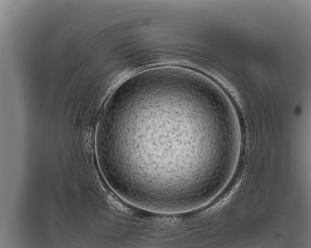 X0000095951001200801181418