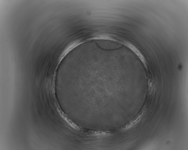 X0000095951002200801181418