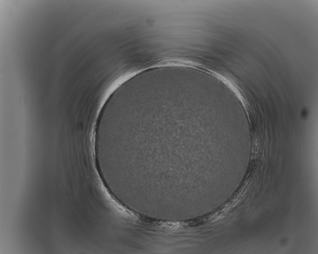 X0000095951003200801181418