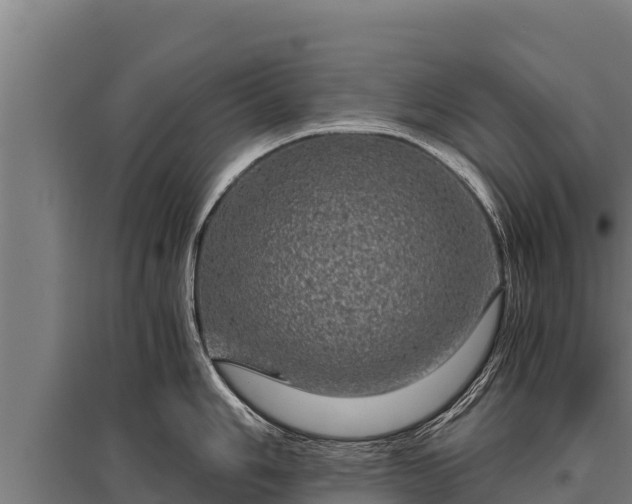 X0000095951006200801181418