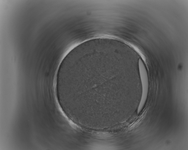 X0000095951007200801181418