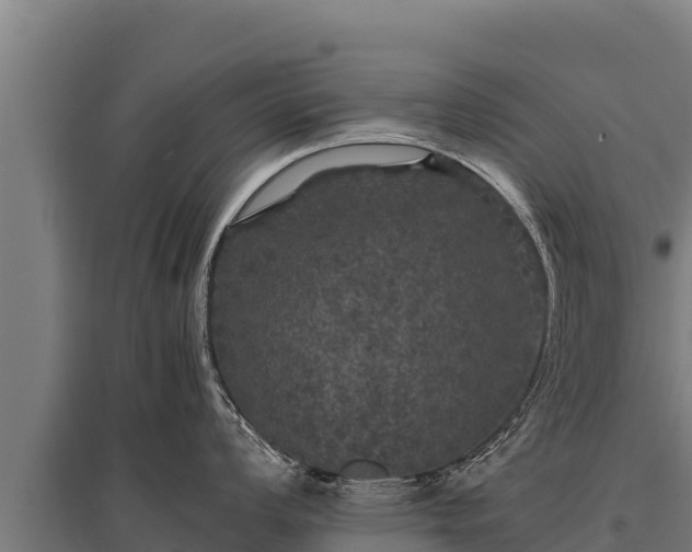 X0000095951008200801181418