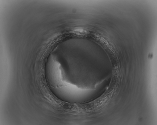 X0000095951009200801181417