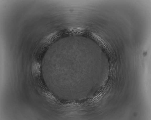 X0000095951010200801181417