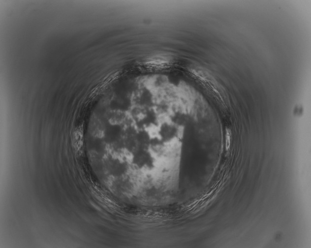 X0000095951011200801181418