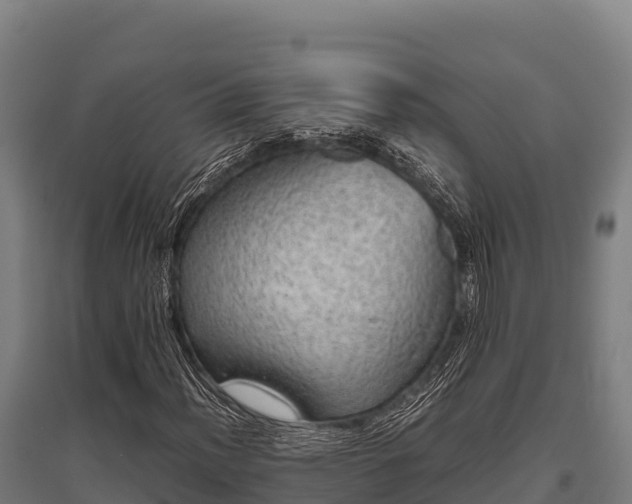 X0000095951012200801181418
