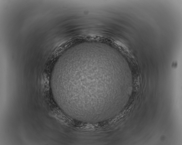 X0000095951013200801181418