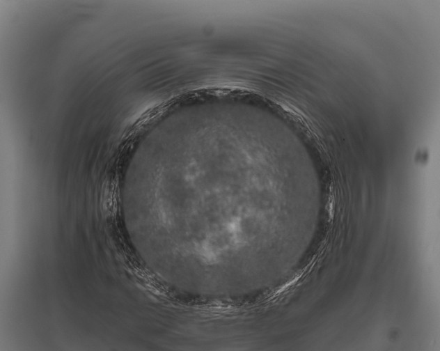 X0000095951014200801181418