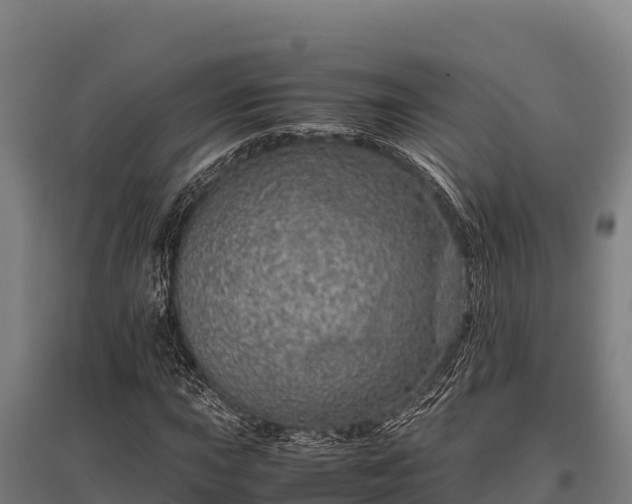 X0000095951015200801181418