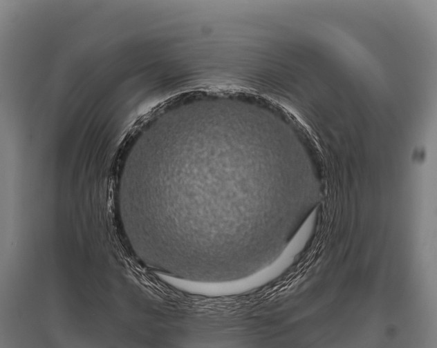 X0000095951016200801181418