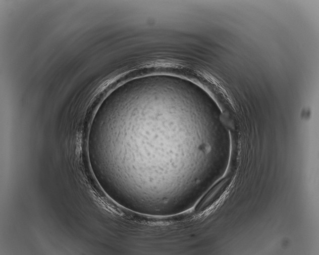 X0000095951017200801181418