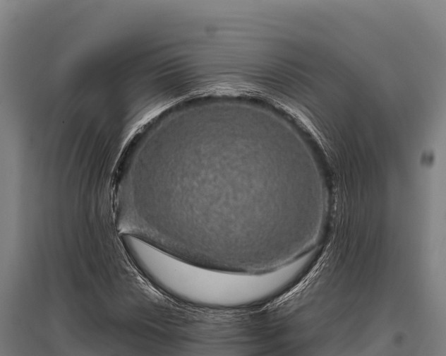 X0000095951018200801181418