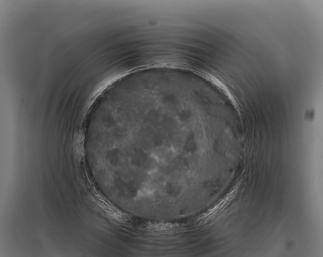 X0000095951019200801181418