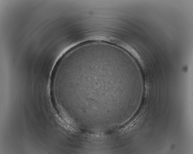 X0000095951020200801181418