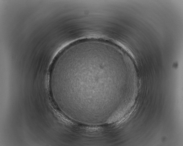 X0000095951021200801181418