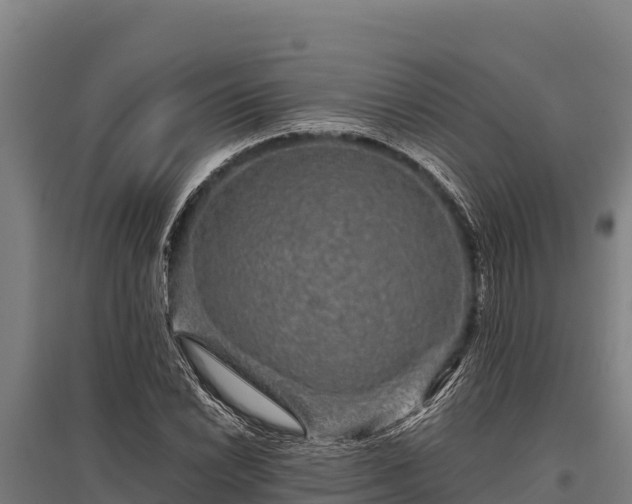 X0000095951022200801181418