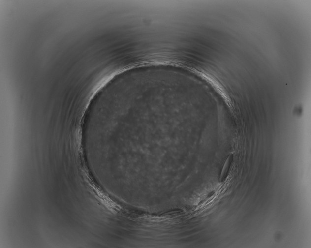 X0000095951023200801181418