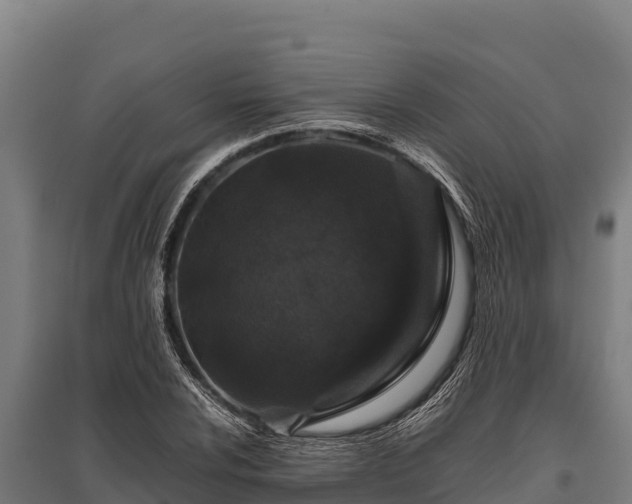 X0000095951024200801181418