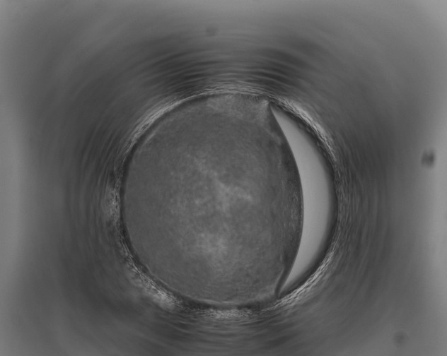 X0000095951025200801181418