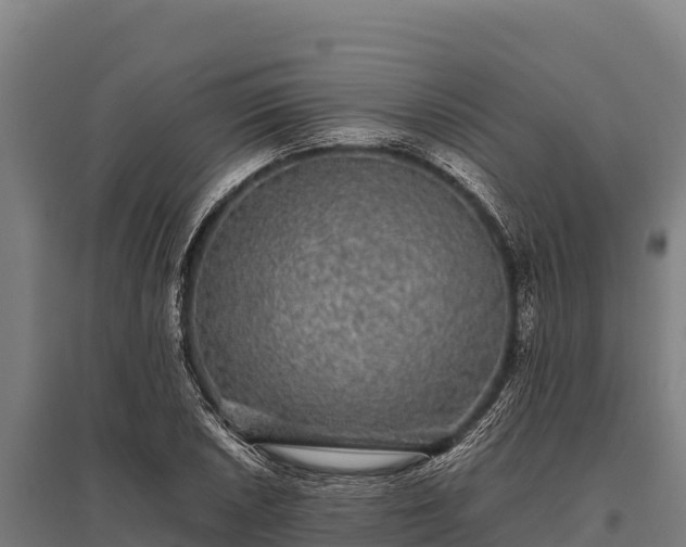 X0000095951026200801181418