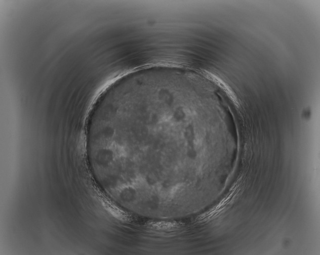 X0000095951027200801181418