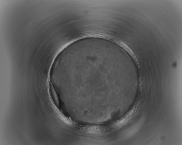 X0000095951028200801181418
