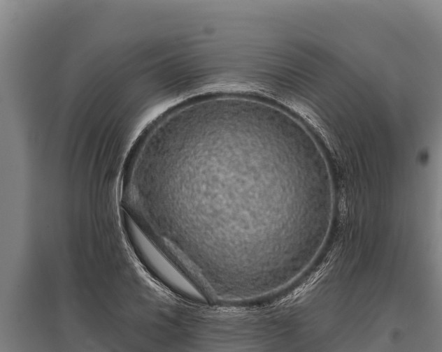 X0000095951030200801181418