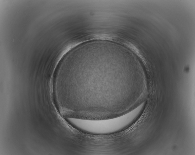 X0000095951032200801181418