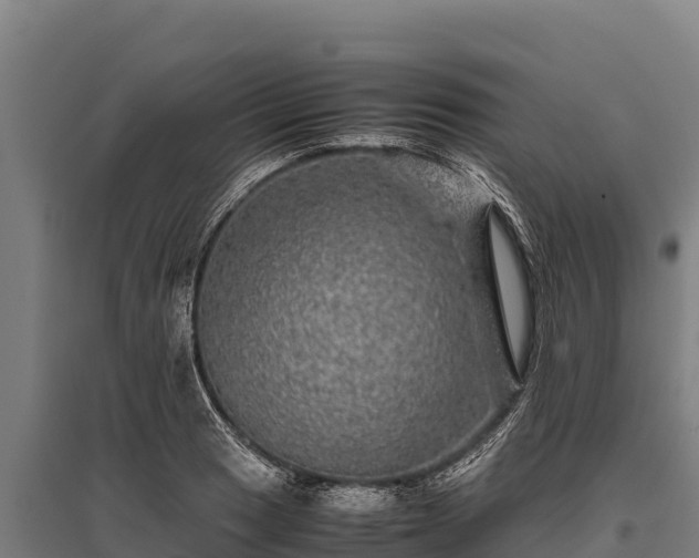 X0000095951033200801181418