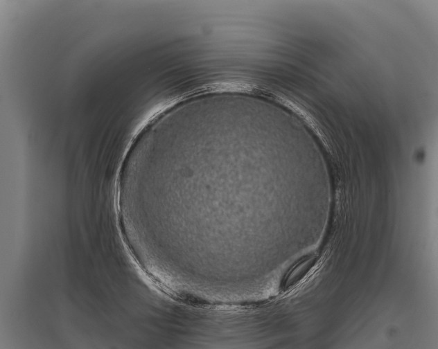 X0000095951034200801181418