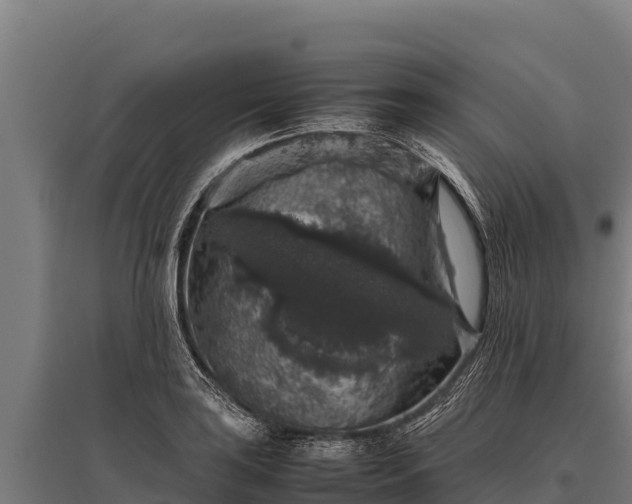 X0000095951035200801181418