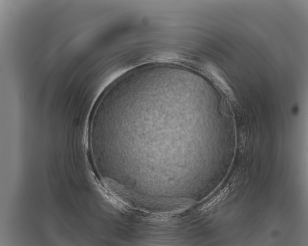 X0000095951036200801181418