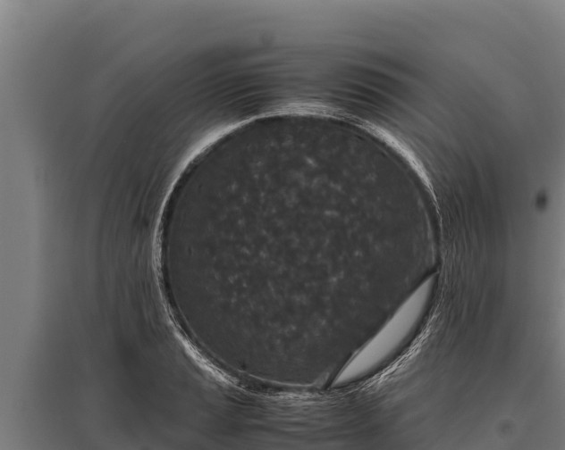 X0000095951037200801181418