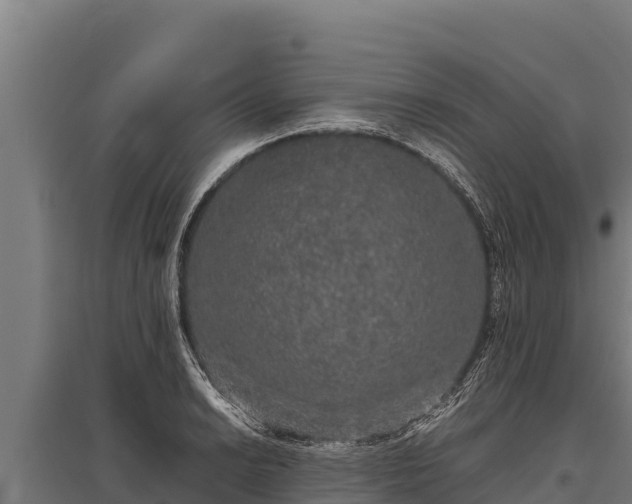 X0000095951038200801181418