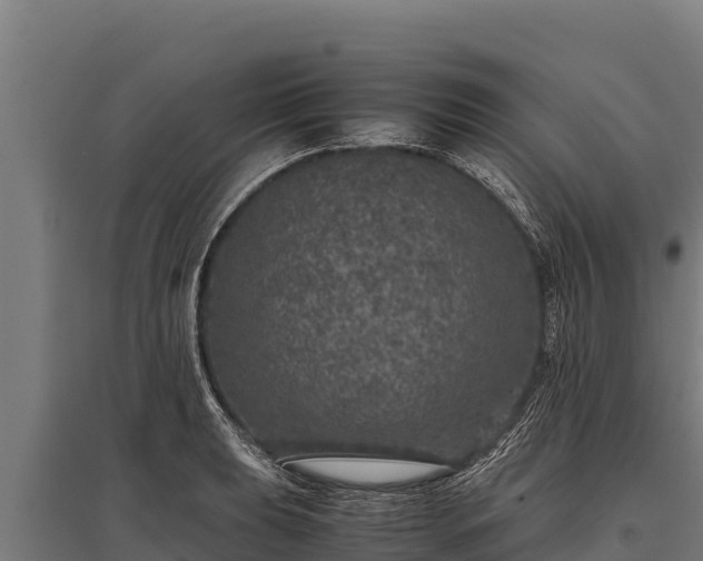 X0000095951039200801181418