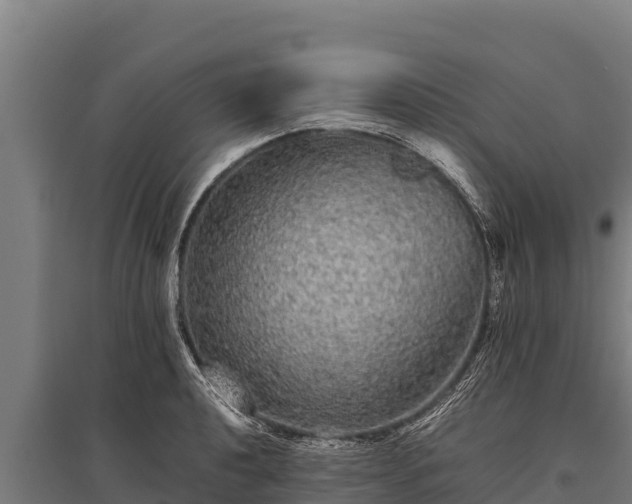 X0000095951040200801181418