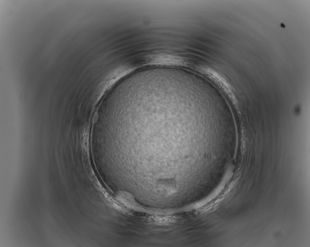 X0000095951041200801181418