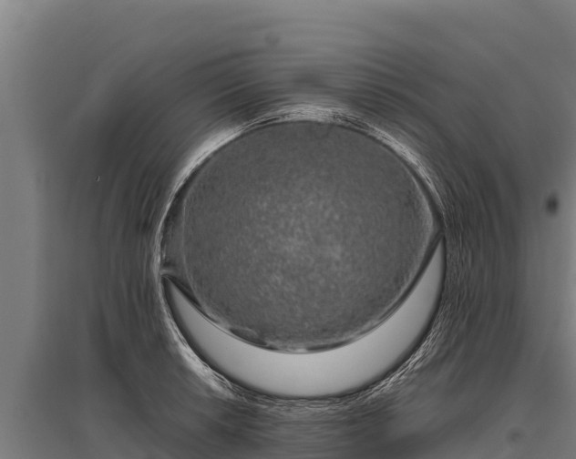 X0000095951042200801181418