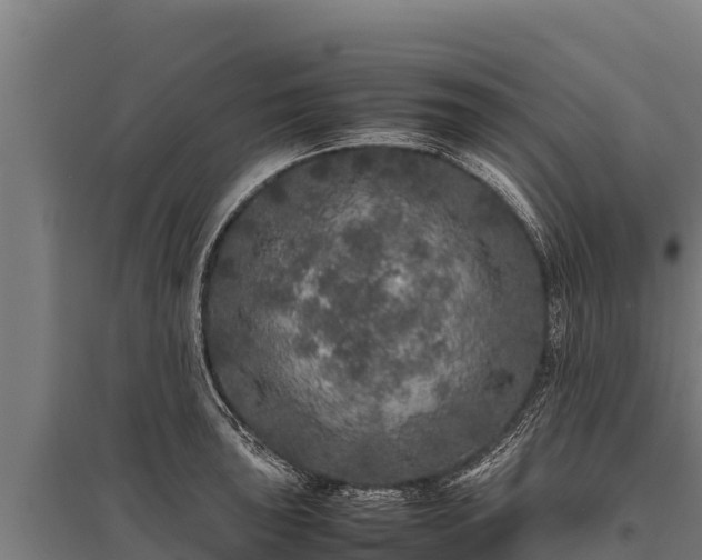 X0000095951043200801181418