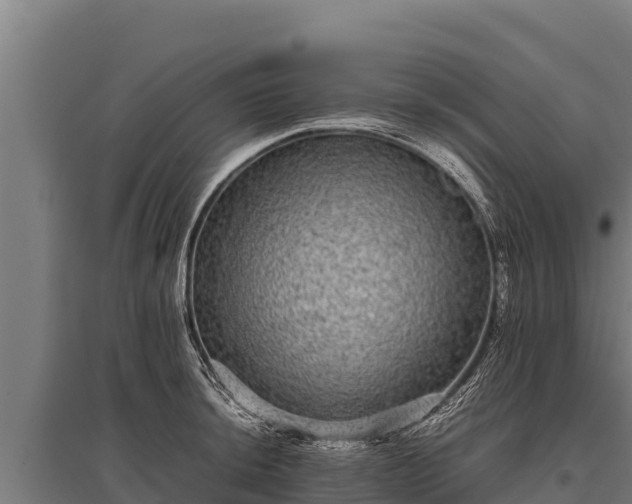 X0000095951044200801181418